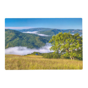 Redwood National Park, California Placemat