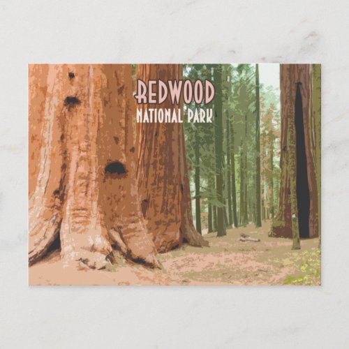 Redwood National Park California Postcard
