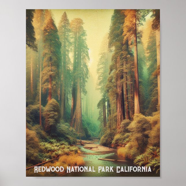 Redwood National Park California Poster (Front)