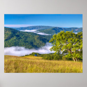 Redwood National Park, California Poster