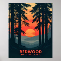 Redwood National Park California Retro Vintage