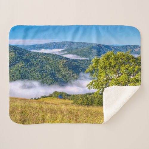 Redwood National Park California Sherpa Blanket