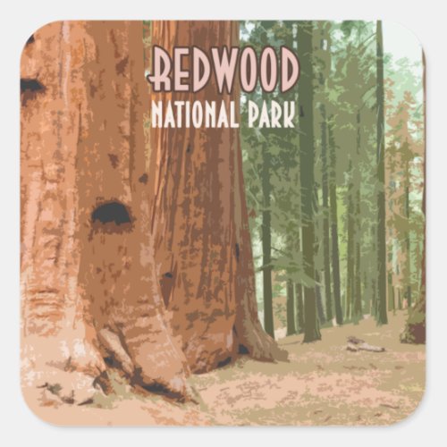 Redwood National Park California Square Sticker