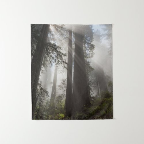 Redwood National Park California Tapestry