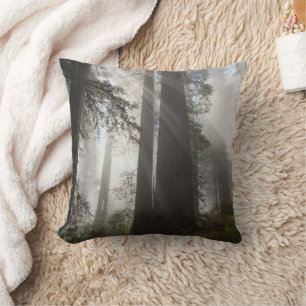 Redwood National Park California Throw Pillow