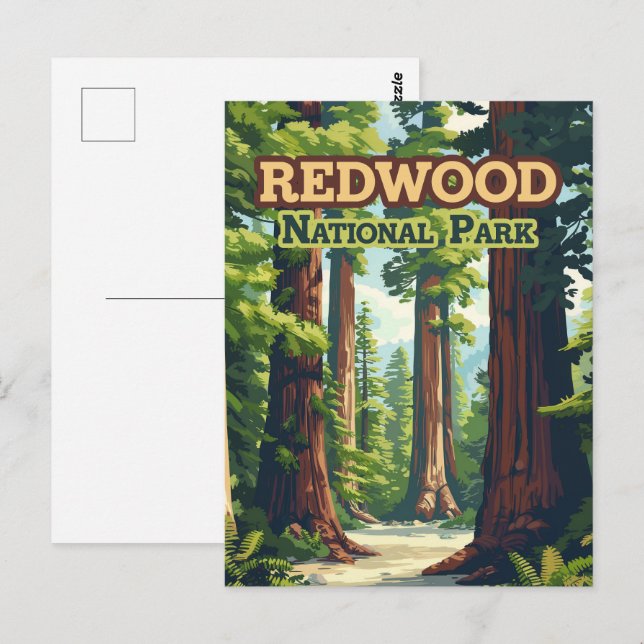 Redwood National Park California Tree Retro Postcard (Front/Back)