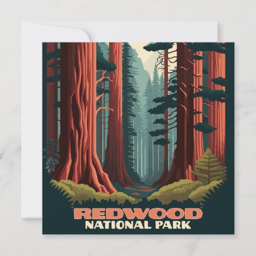 Redwood National Park California Trees