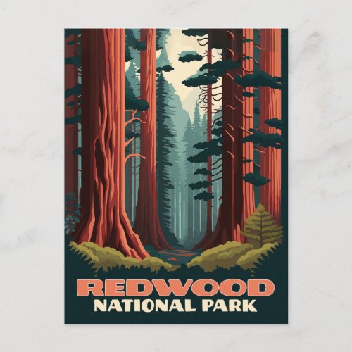 Redwood National Park California Trees Postcard