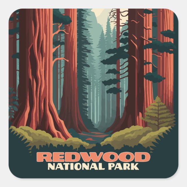 Redwood National Park California Trees Square Sticker (Front)
