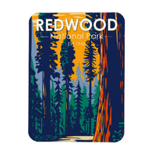 REDWOOD NATIONAL PARK PHOTO MAGNET LARGE 4x3" thin flexible glossy travel 