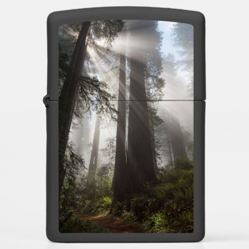 Redwood National Park California Zippo Lighter