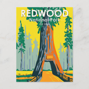 Redwood National Park Chandelier Tree Vintage Postcard