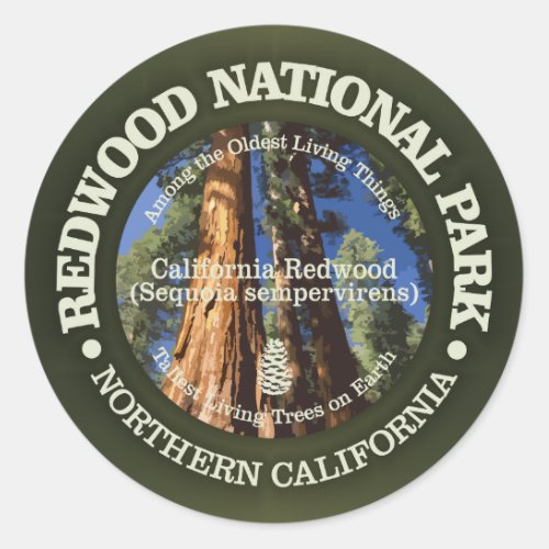 Redwood National Park Classic Round Sticker