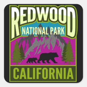 Redwood National Park Forest Mountains with Bears Square Sticker