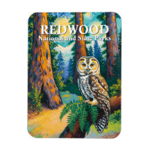 Redwood National Park Forest Owl Van Gogh Style
