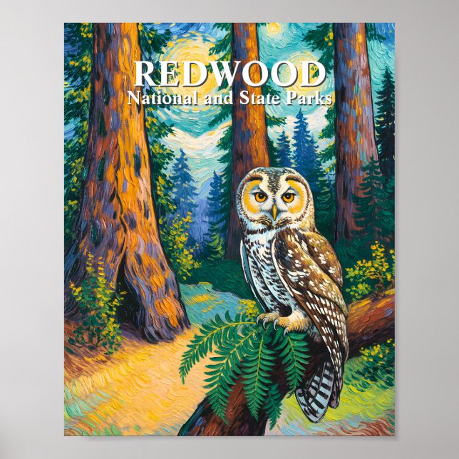 Redwood National Park Forest Owl Van Gogh Style Poster (Front)