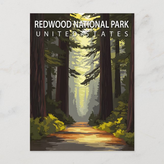 Redwood National Park Hiking Forest Postcard (Front)