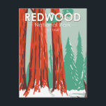 Redwood National Park In Winter California Vintage Postcard<br><div class="desc">Redwood vector artwork design with a winter setting. The park protects vast prairies,  oak woodlands,  wild rivers,  and 40 miles of rugged coastline.</div>