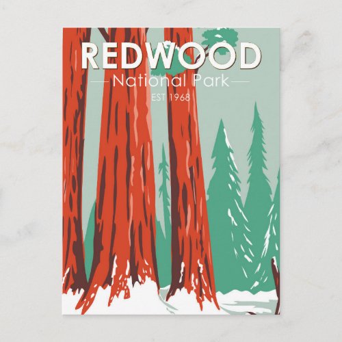 Redwood National Park In Winter California Vintage Postcard