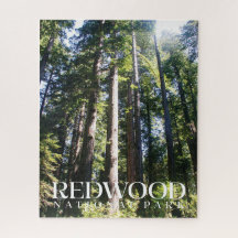 Redwood National Park JigsawPuzzle