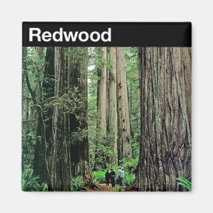 Redwood National Park Magnet