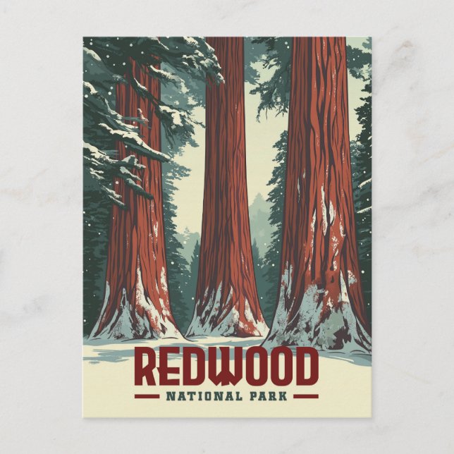 Redwood National Park - Vintage California Postcard (Front)