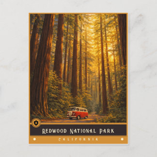 Redwood National Park | Vintage Postcard
