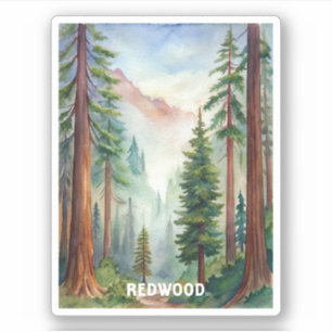 Redwood National Park Watercolor Painting Sticker