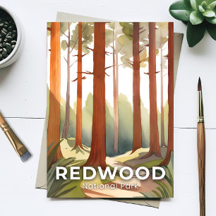 Redwood National Park Watercolor Trees Postcard