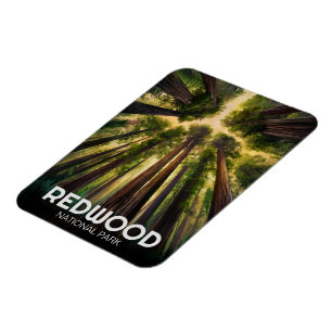 Redwood national state park, Coastal California Magnet