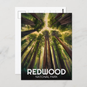 Redwood national state park, Coastal California Postcard