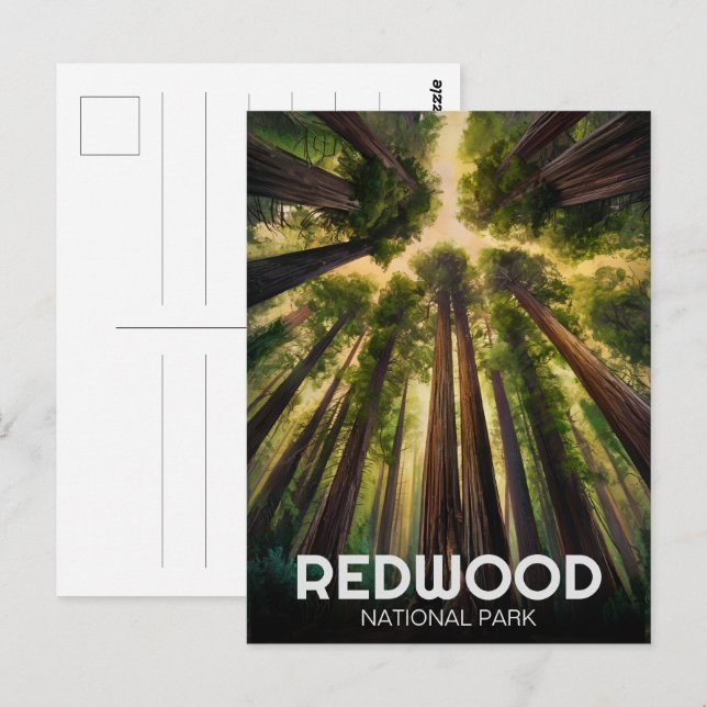 Redwood national state park, Coastal California  Postcard (Front/Back)