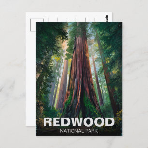 Redwood national state park, Coastal California Postcard