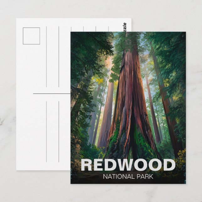 Redwood national state park, Coastal California  Postcard (Front/Back)