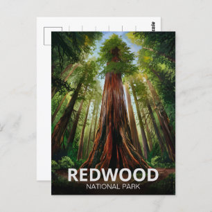 Redwood national state park, Coastal California Postcard