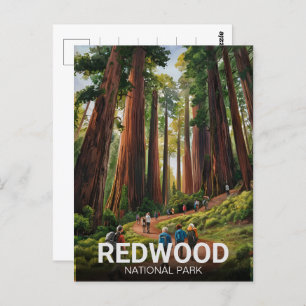 Redwood national state park, Coastal California Postcard