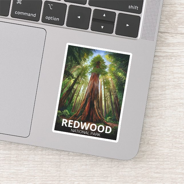 Redwood national state park, Coastal California  Sticker (Detail)