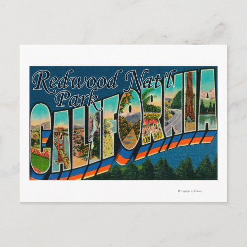 Redwood Natl Park California Postcard