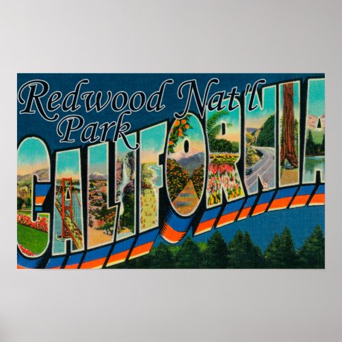 Redwood Natl Park California Poster