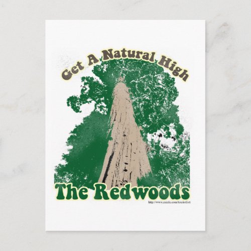 Redwood Natural High Postcard