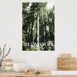 Redwood Poster, National Park Print