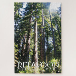 Redwood Puzzle, National Park Jigsaw Puzzle