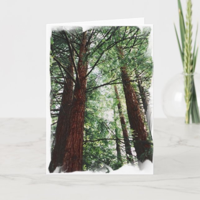 Redwood Sky Card (Front)