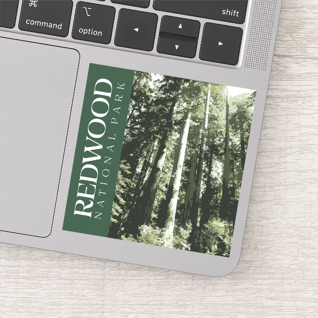 Redwood Sticker, National Park Decal (Detail)