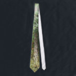 Redwood Tree Tie<br><div class="desc">Beautiful old Redwood Tree at the edge of a forest is on this Tie.</div>