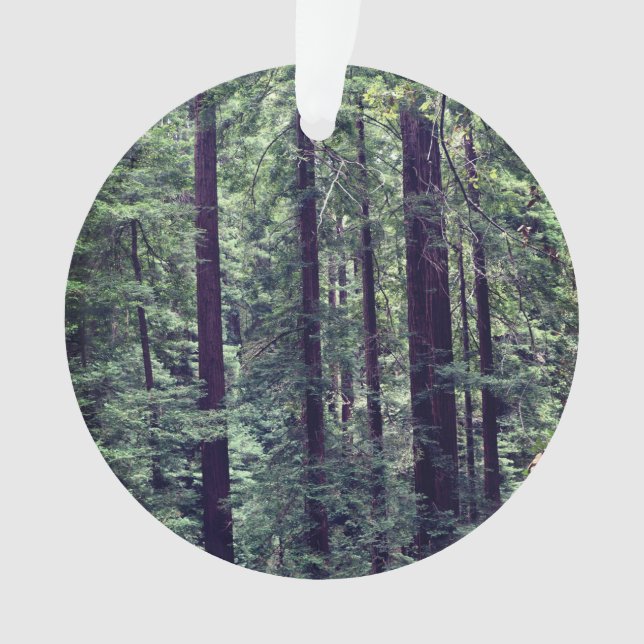 Redwood Trees #2 Ornament (Front)