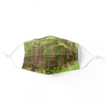 Redwood Trees Adult Cloth Face Mask