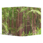 Redwood Trees at Muir Woods National Monument 3 Ring Binder