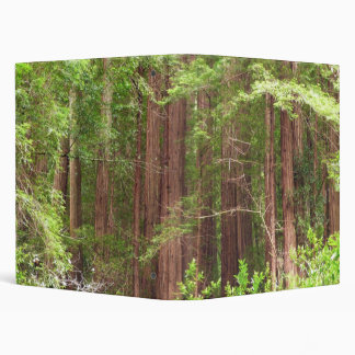 Redwood Trees at Muir Woods National Monument 3 Ring Binder