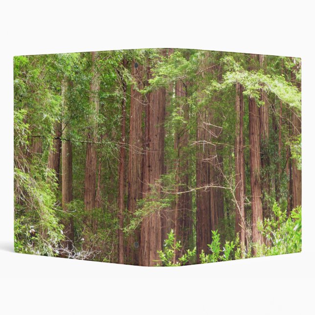 Redwood Trees at Muir Woods National Monument 3 Ring Binder (Background)